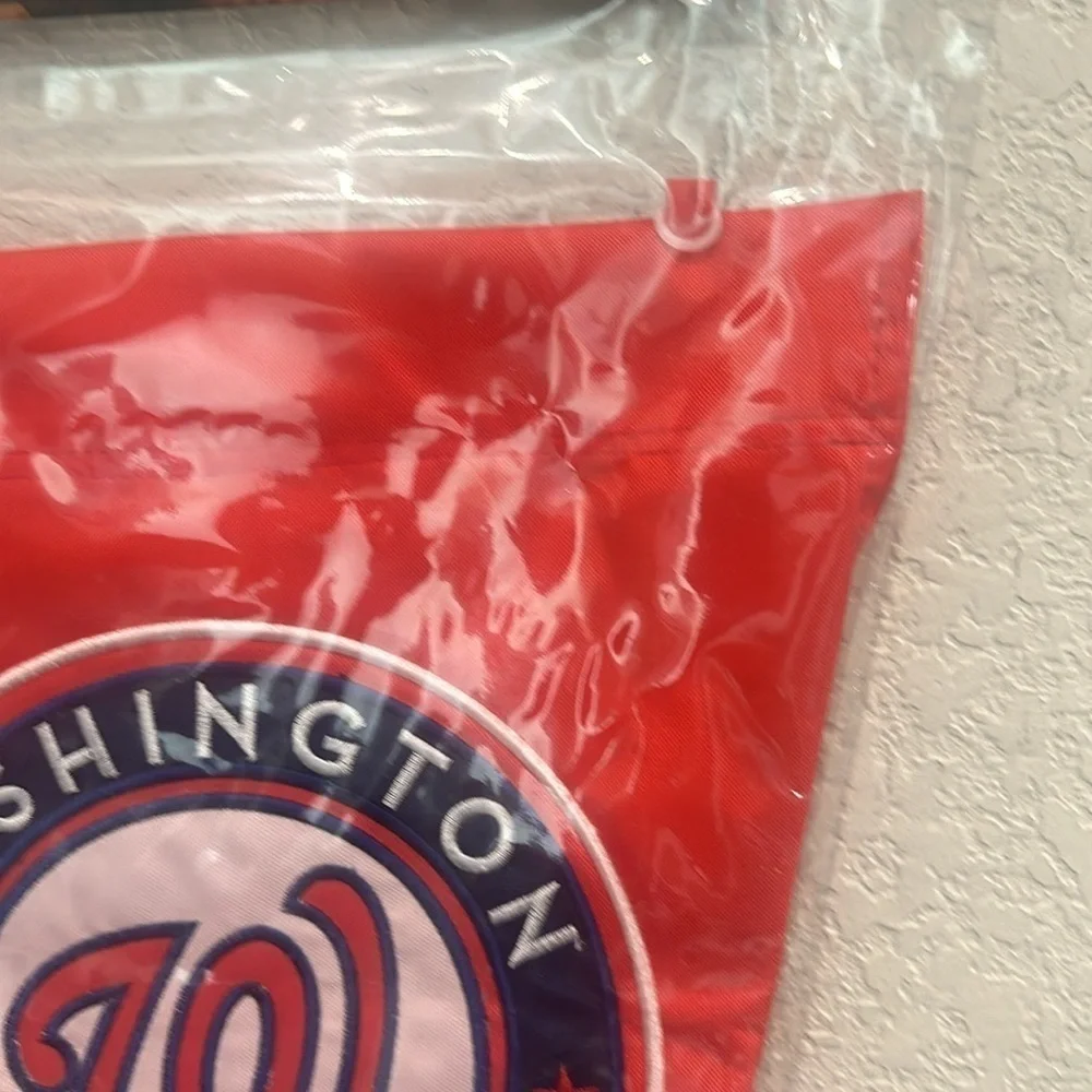 Washington Nationals wall and yard pennant
